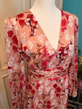BCBGMax Azria Floral V-Neck Maxi Dress in Blush and Red